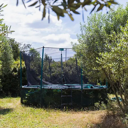 Grand Luberon Chez Manon En Luberon - Vacation In Holiday home *